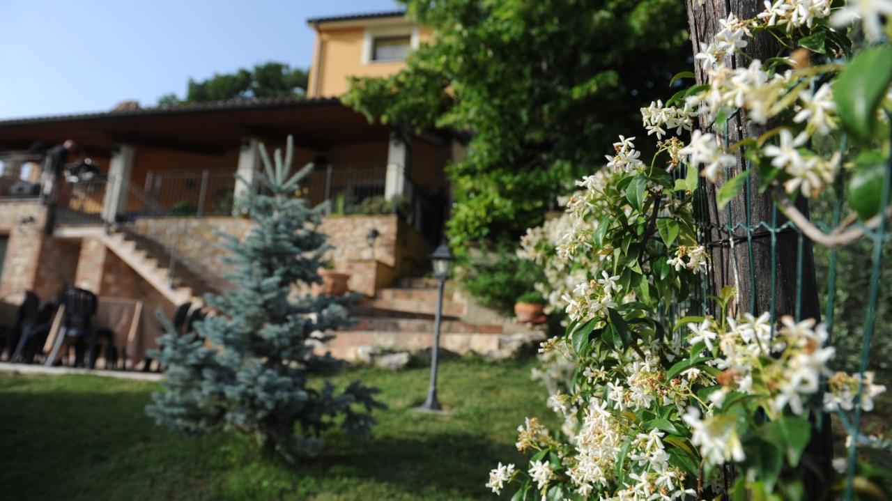 Bed and Breakfast Casafe Tra Sogno E Realta Narni Scalo Zewnętrze zdjęcie